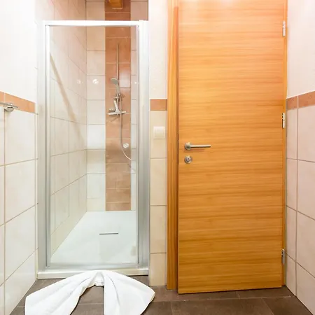 费利恩豪斯全景酒店 * 比伯维尔